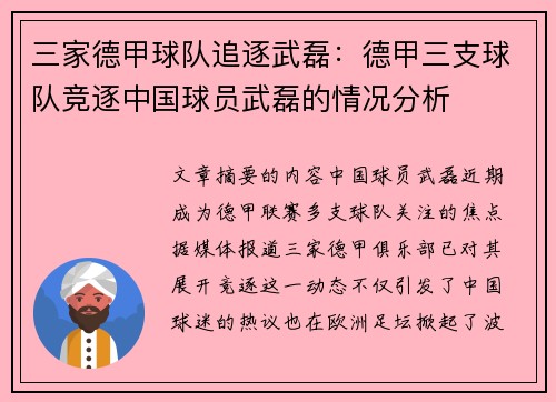 三家德甲球队追逐武磊：德甲三支球队竞逐中国球员武磊的情况分析